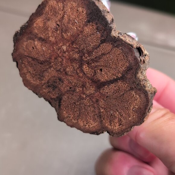 Vintage Miniature Bone China Mice Figurines On Wood Base, Mouse Japan - Picture 6 of 7